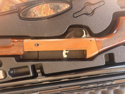 Benelli Belmonte 2 Brown