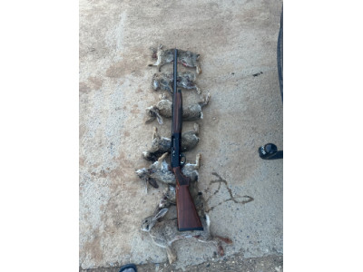Benelli Centro Crio en perfectas condiciones