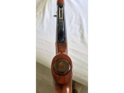 BENELLI CENTRO REPETIDORA