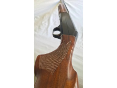 BENELLI CENTRO REPETIDORA