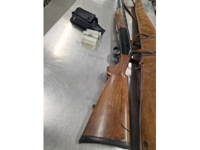 benelli modelo centro calibre 12