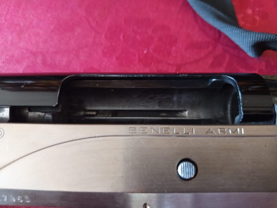 Benelli rafaelle crio