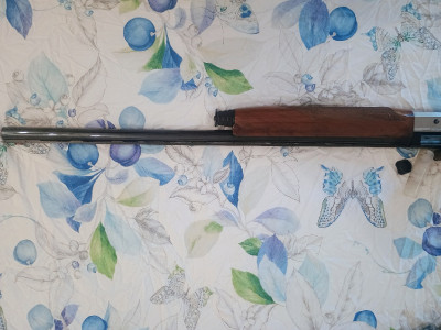 Benelli Rafaello crío escopeta