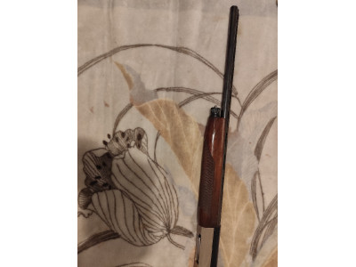 Benelli Rafaelo crio calibre 12