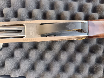 Benelli Raffaelo Serie Limited