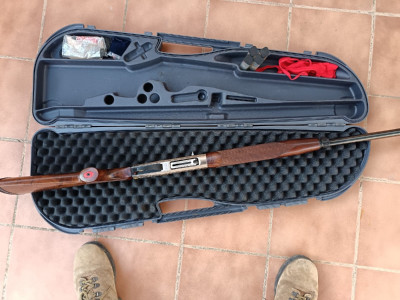 Benelli Raffaelo Serie Limited