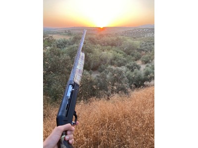 Benelli sl121 repetidora