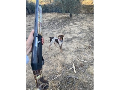 Benelli sl121 repetidora