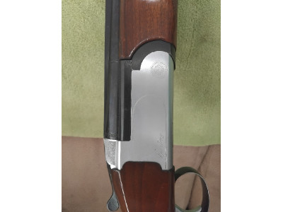 Benelli urbino sporting