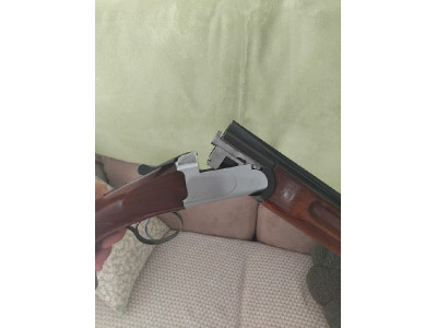 Benelli urbino sporting