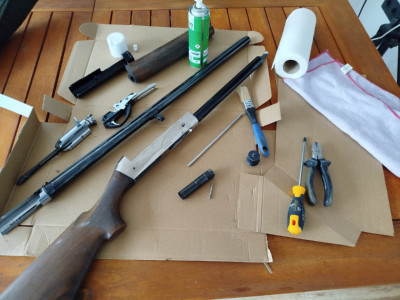 Benellli raffaello crio