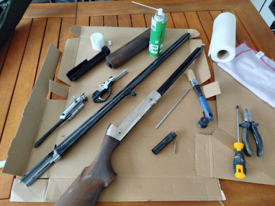 Benellli raffaello crio