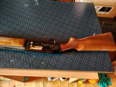 Beretta 301 escopeta