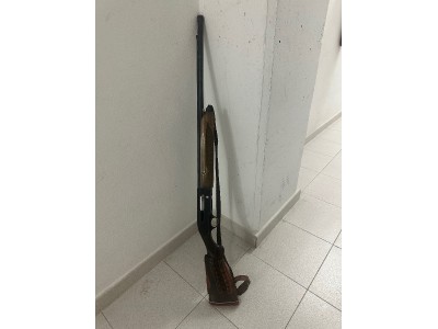 Beretta 301 y cañón adicional 4*