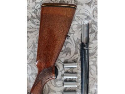 Beretta 302 con 4 choques