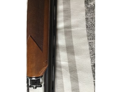 Beretta 302 