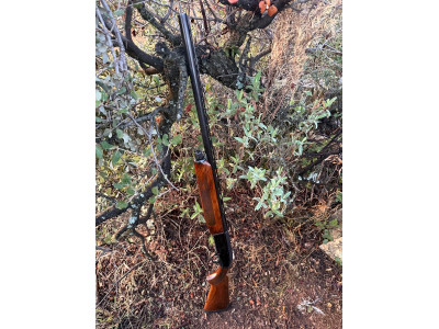 Beretta 303 *** estrellas