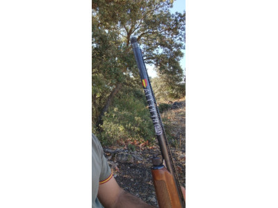 Beretta 303 repetidora