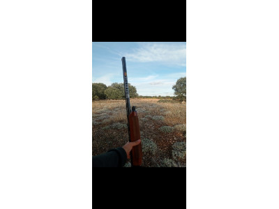 Beretta 303 repetidora