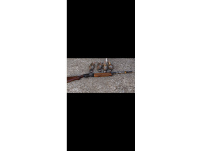 Beretta 303 Repetidora