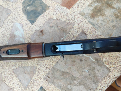 Beretta 303 
