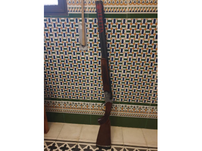 beretta 687 esporting