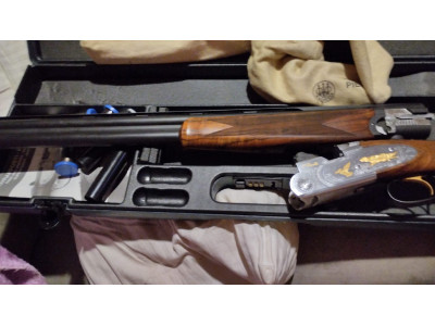 Beretta 687 silver pigeonn