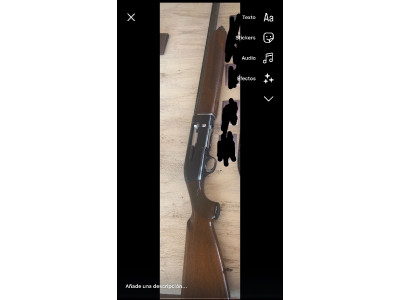 Beretta A 300 Cal 12