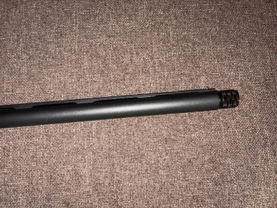 Beretta a 300 outlander mossy oak