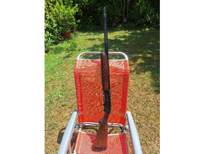 Beretta A301 calibre 12