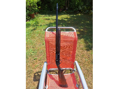 Beretta A301 Calibre 12