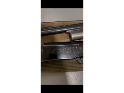 Beretta A301 repetidora