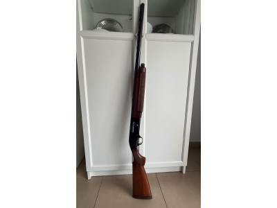 Beretta A303 12/70