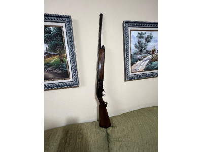 Beretta AL 391 urika cal.12