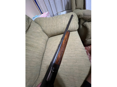Beretta AL 391 urika cal.12