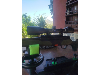 Beretta BRX1 Cal 300