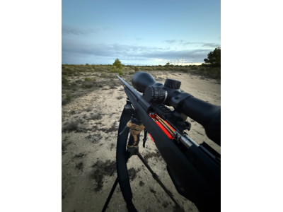 Beretta BRX1 Calibre 300