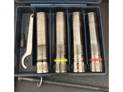 Beretta dt10 trident Sporting