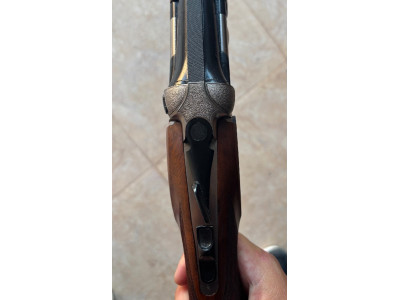 Beretta dt10 trident Sporting