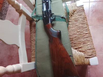 Beretta Modelo A300 calibre 12