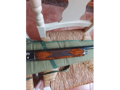 Beretta Modelo A300 calibre 12