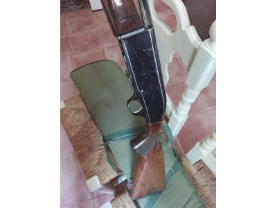Beretta Modelo A300 calibre 12