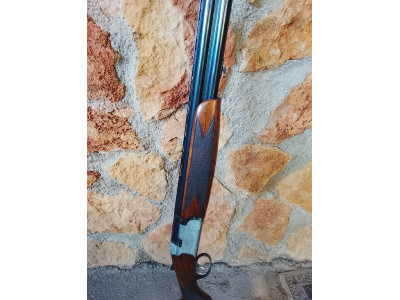 Beretta S56 superpuesta