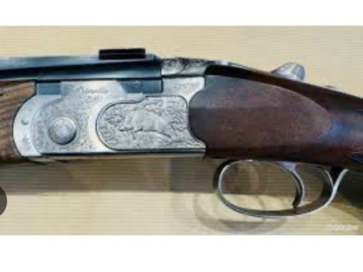 Beretta Silver sable 2 express