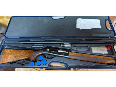 Beretta Urika AL 391