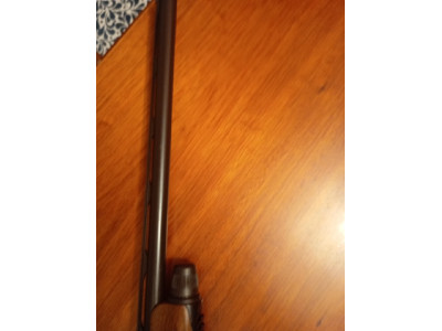 Beretta urika sporting