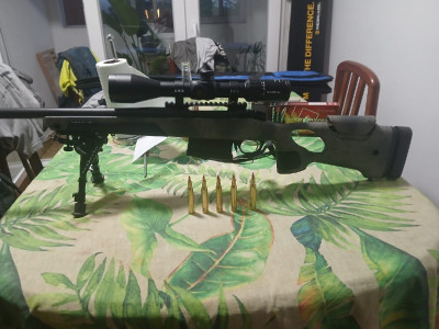 Bergara b14 calibre 300