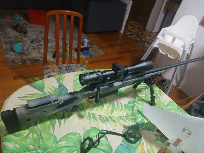 Bergara b14 calibre 300