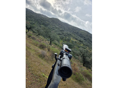 Bergara b14 hmr 300win