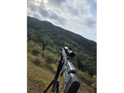 Bergara b14 hmr 300win